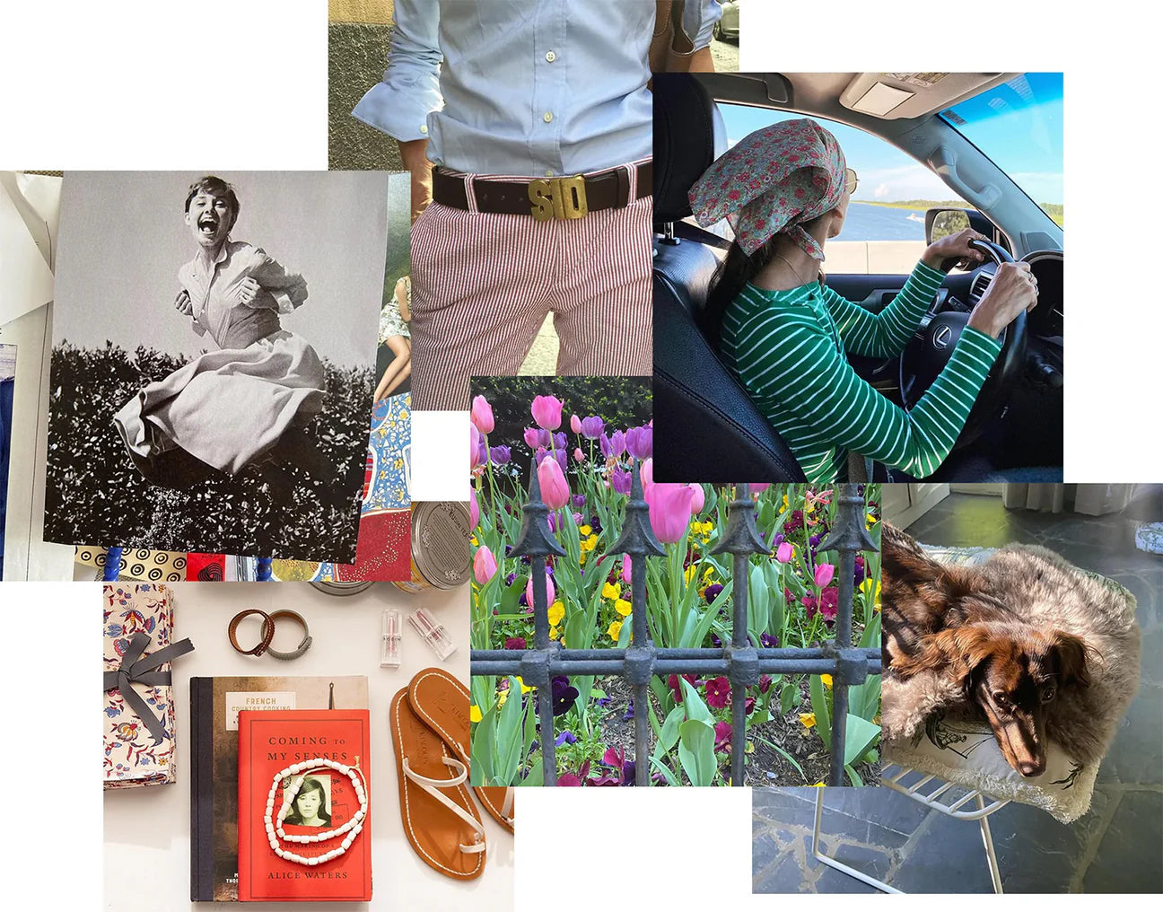 A collage of images: a person in striped pants with a brown belt, a person driving while wearing a floral headscarf, an old black-and-white photo of a woman running in a dress, colorful tulips behind a fence, a dog sleeping on a fur blanket, and a table with books and accessories.