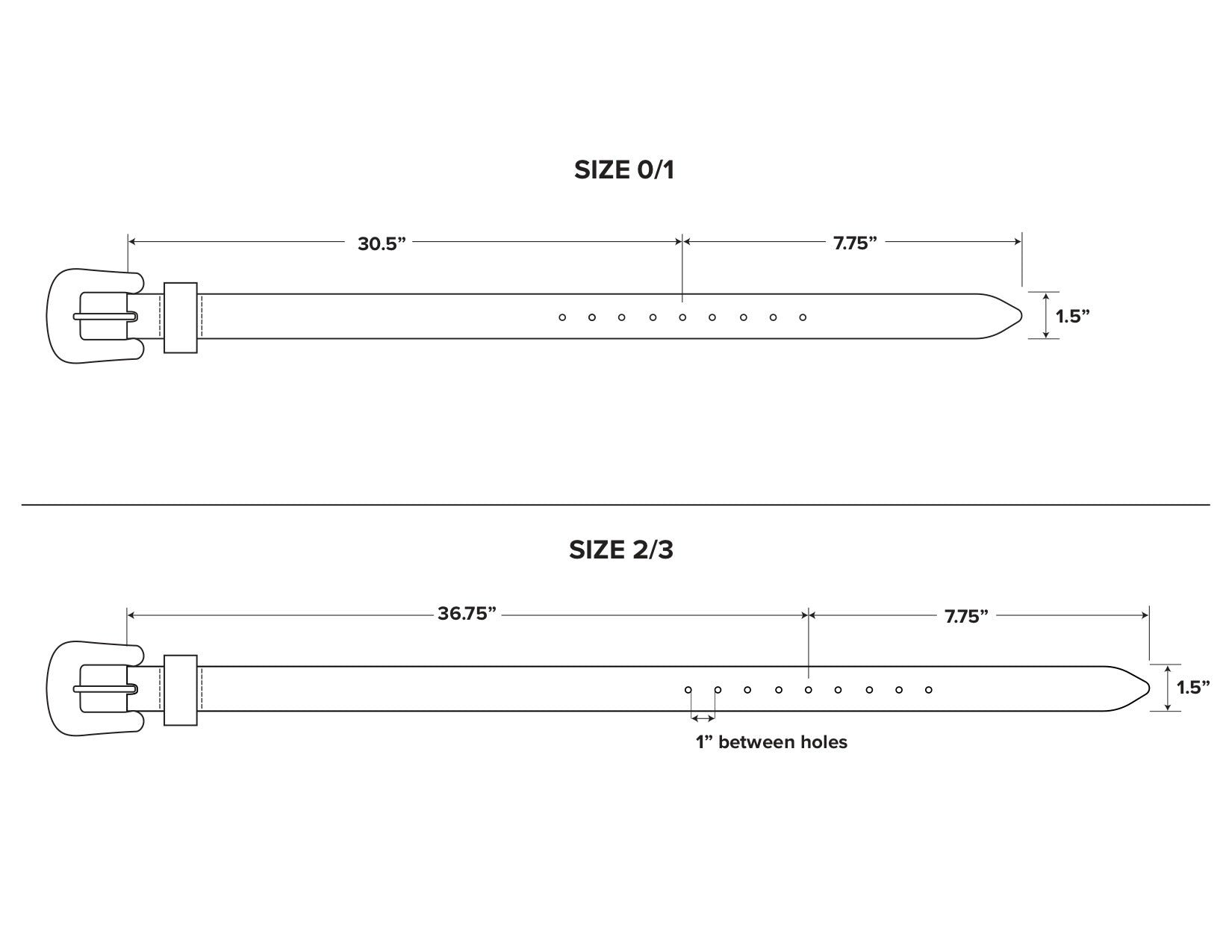 Two belt diagrams labeled "Size 0/1" and "Size 2/3" are shown. Both Freda Salvador Laia Belts, made of Italian black leather, measure 7.75 inches from the oversized brass buckle to the first hole, have a width of 1.5 inches, and feature a 1-inch spacing between holes. The "Size 0/1" belt has an overall length of 30.5 inches.